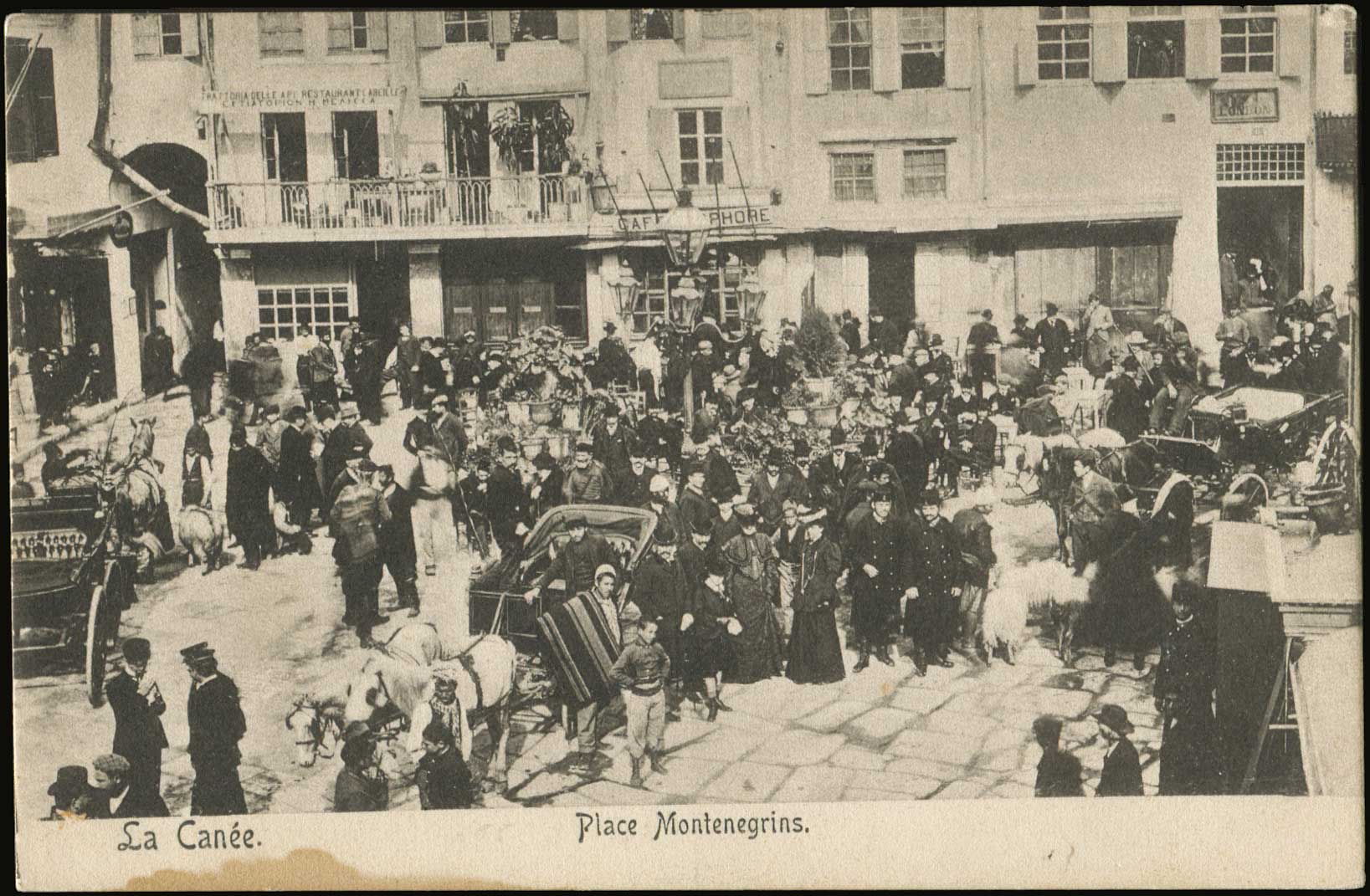 Lot 01340
