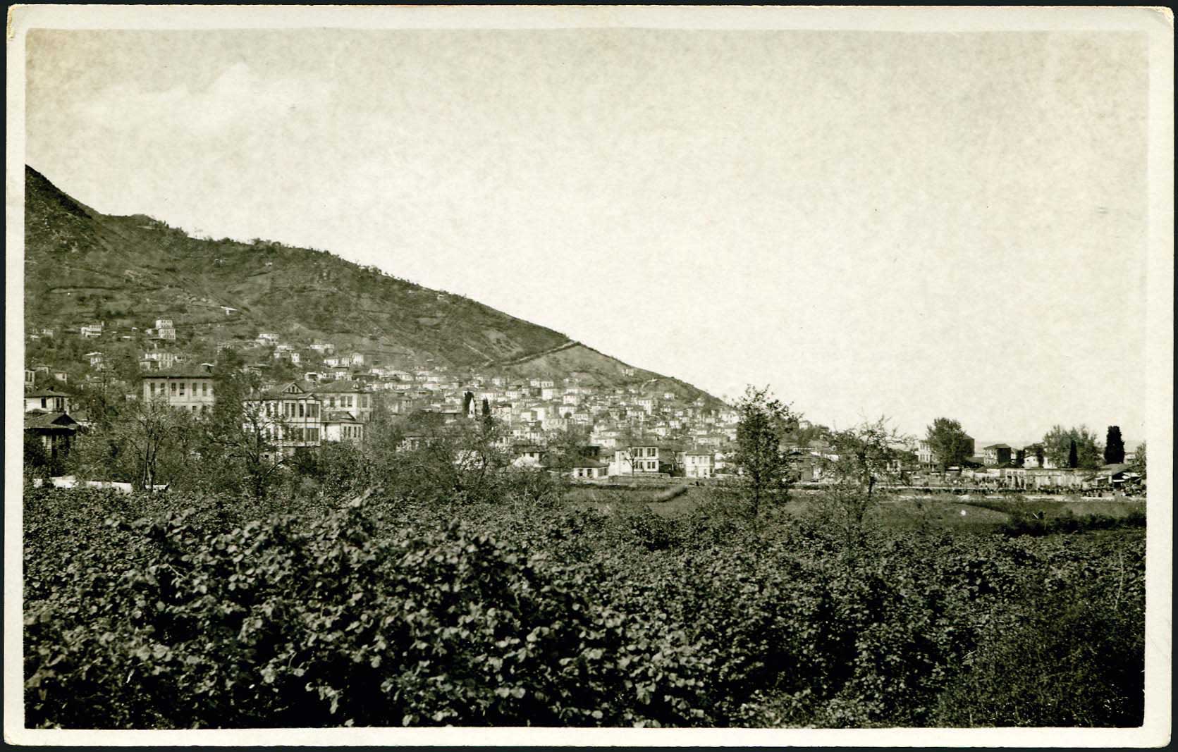 Lot 06984