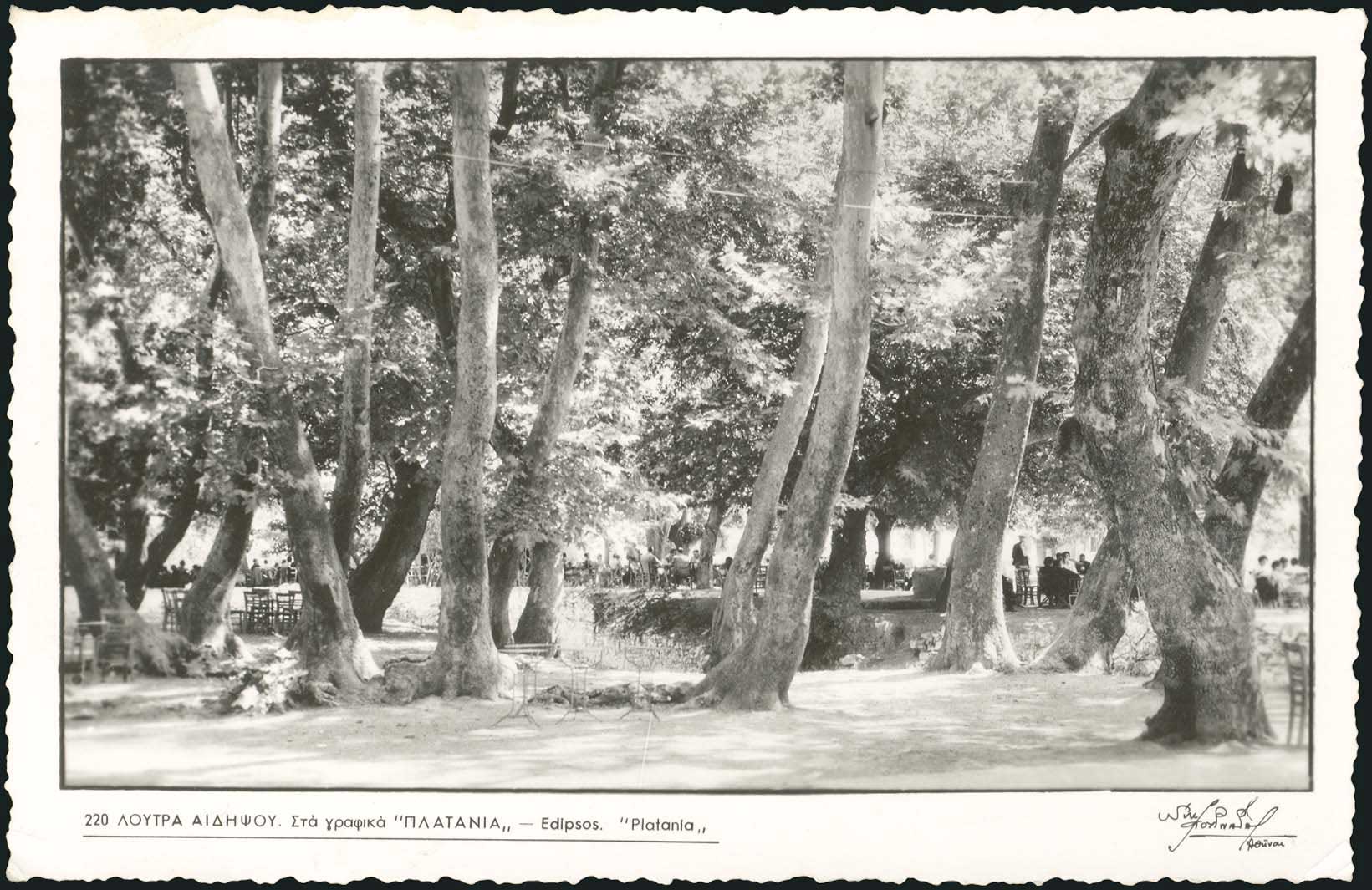 Lot 01520