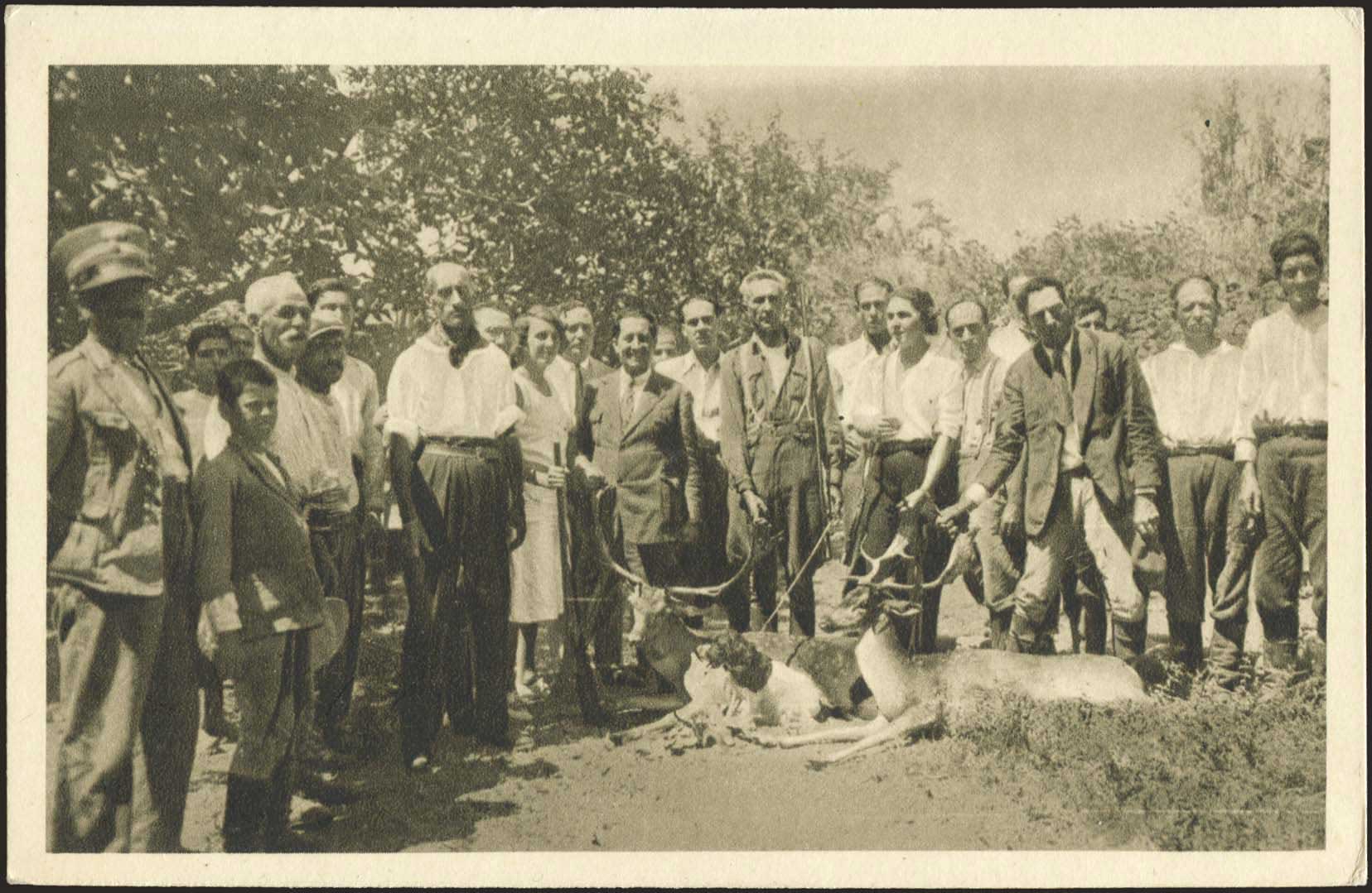 Lot 01781