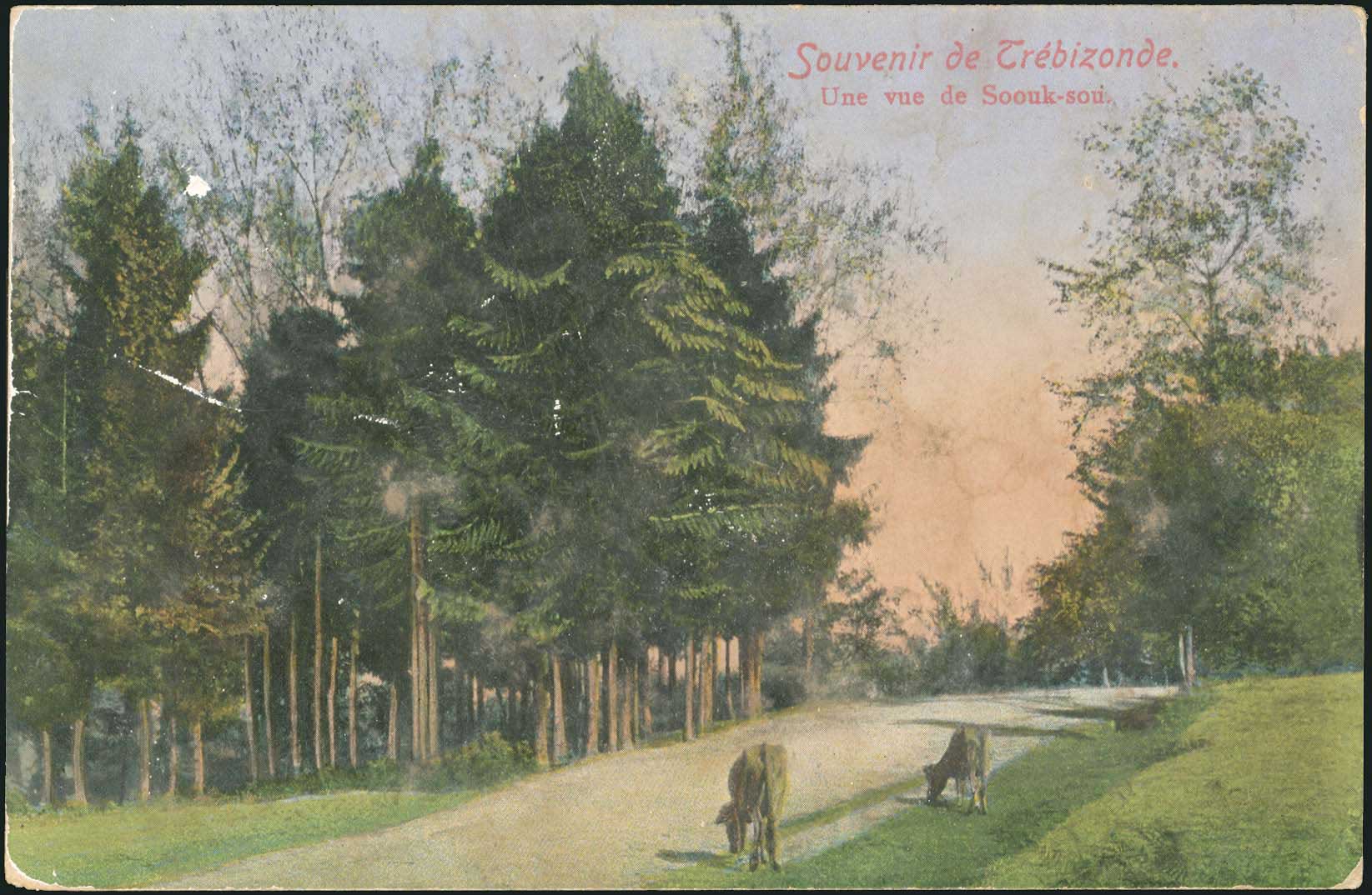 Lot 04067