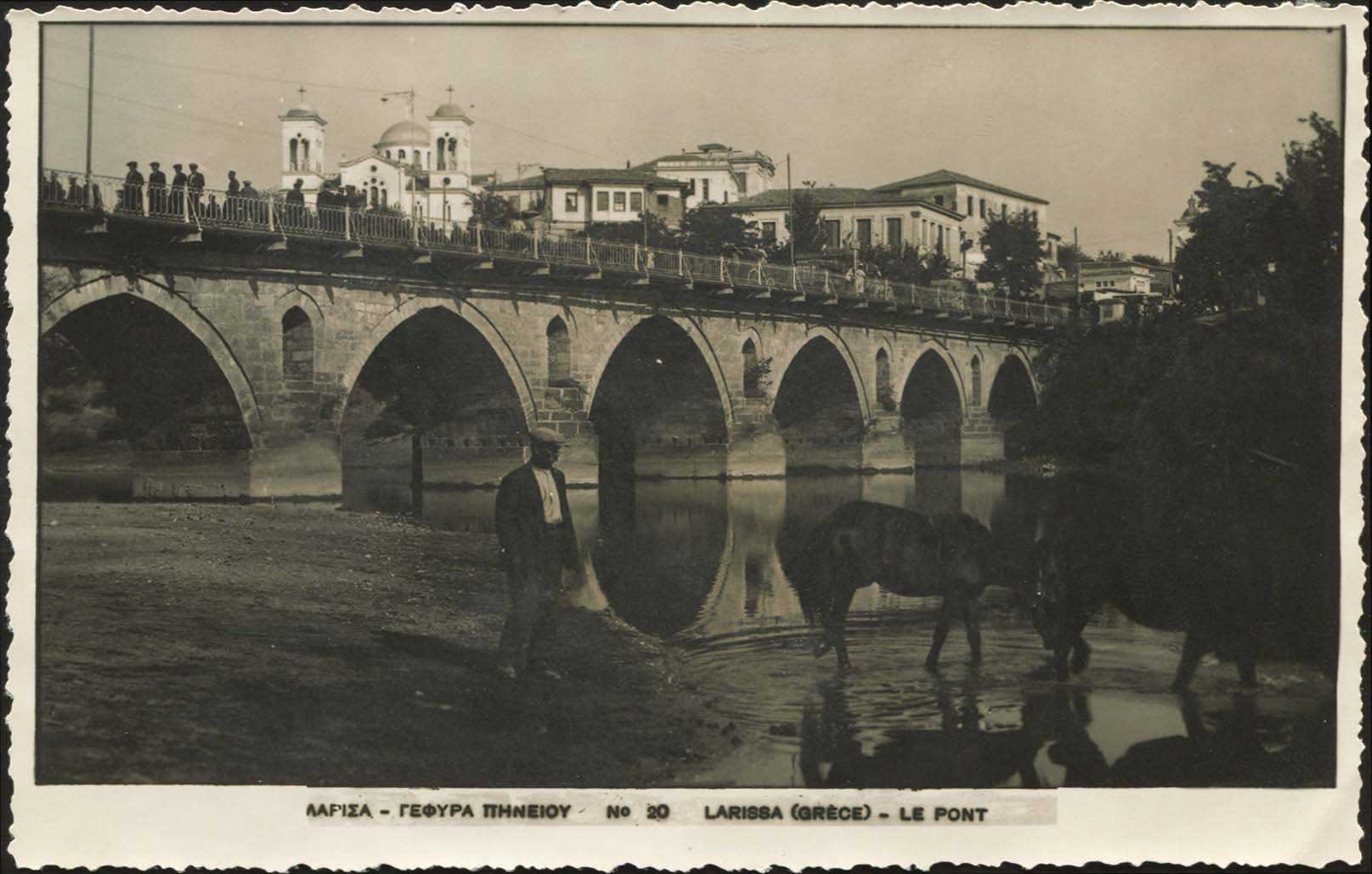 Lot 01568
