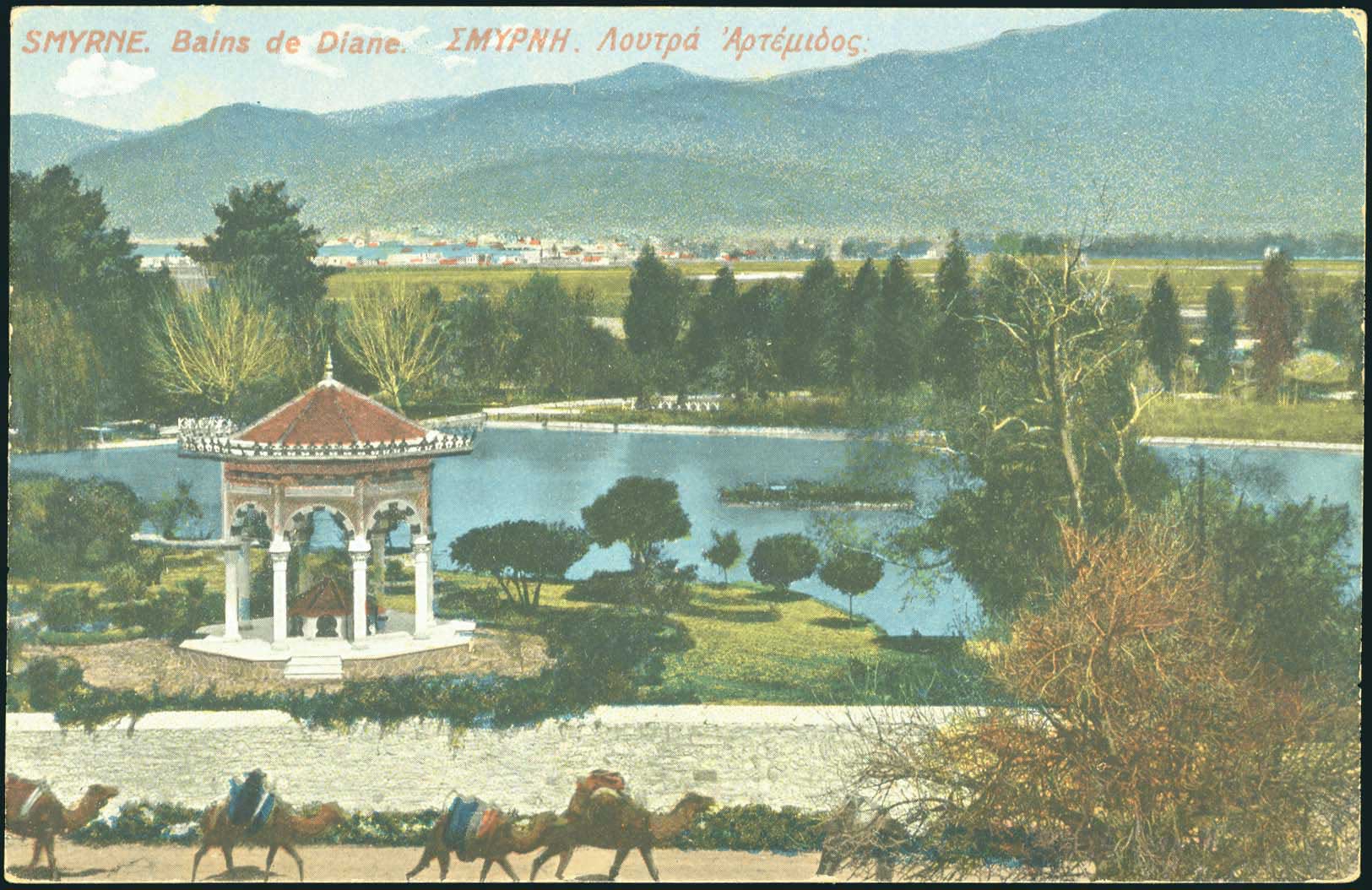 Lot 04979