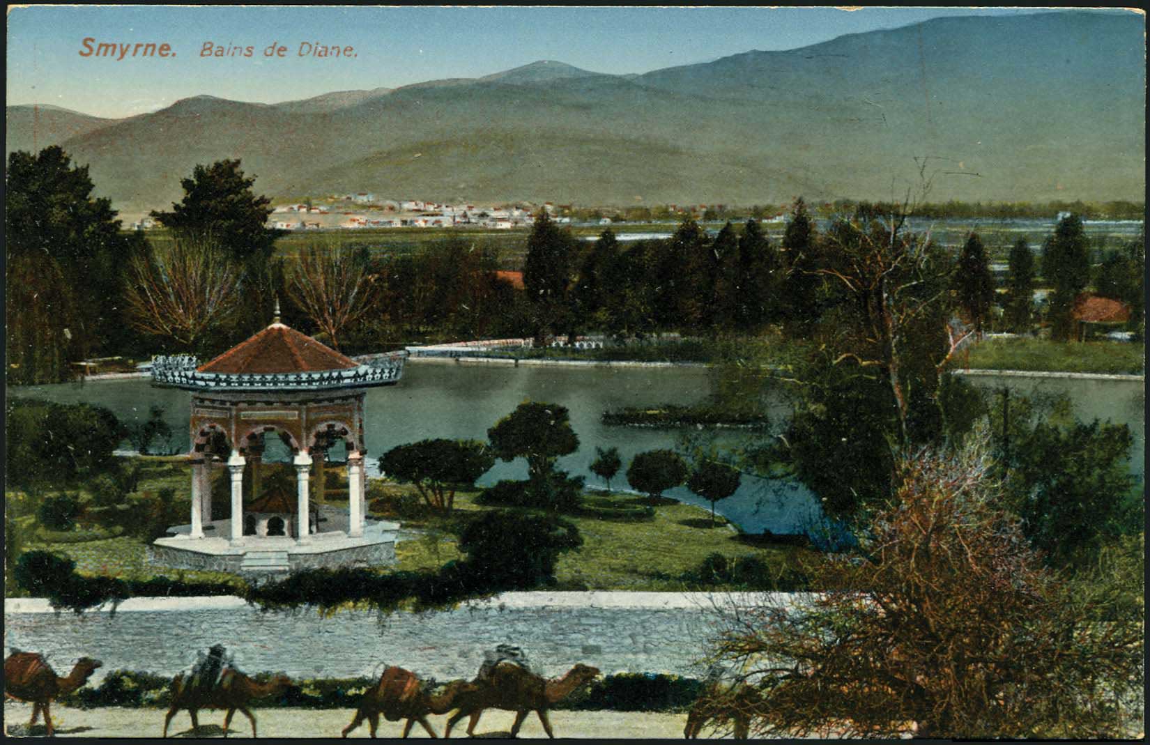 Lot 01875