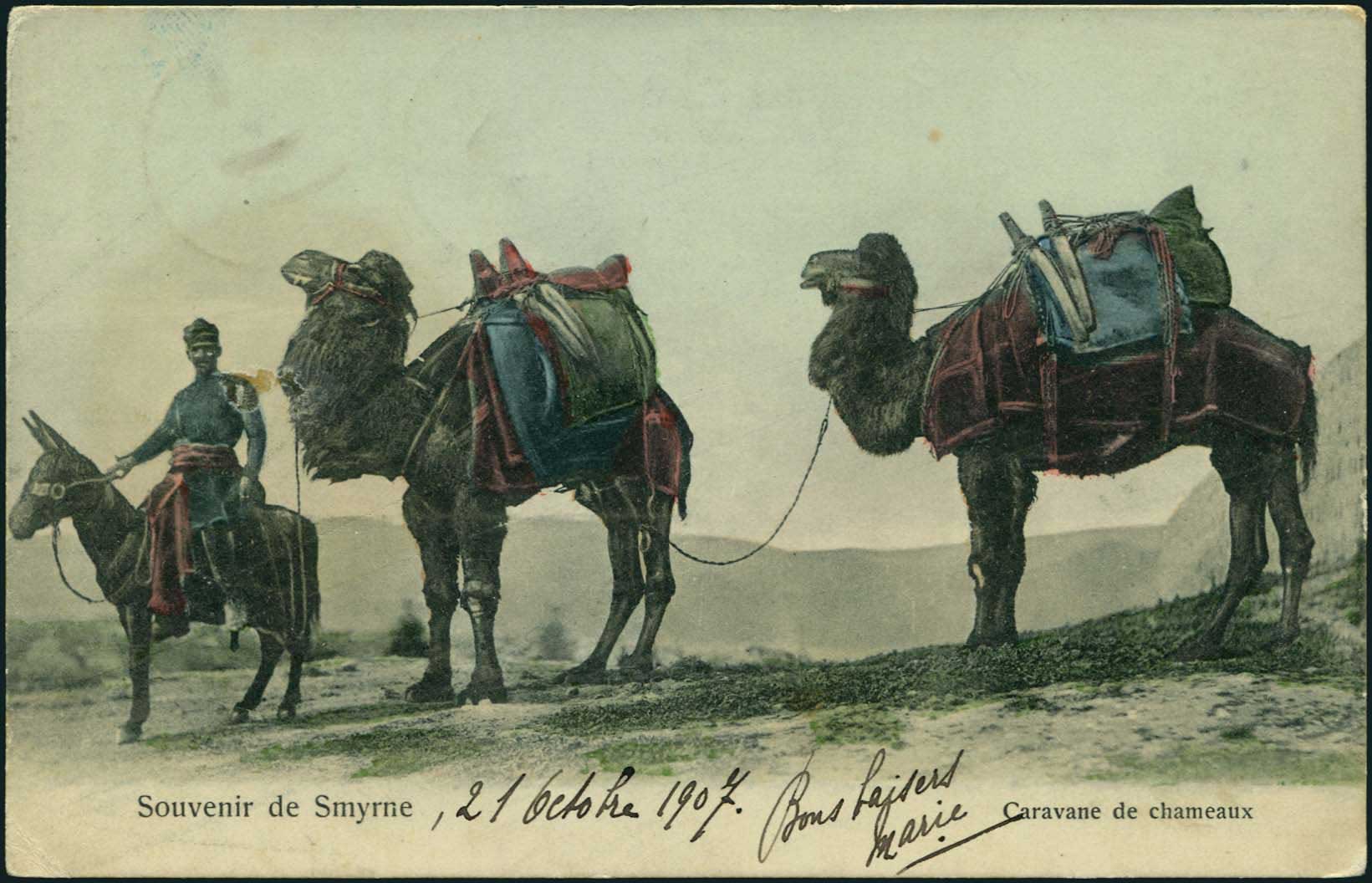 Lot 01626