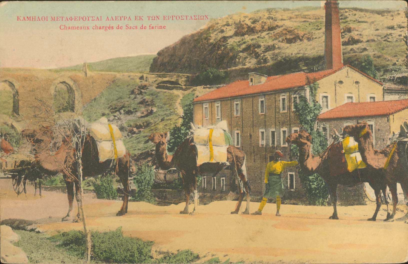 Lot 02080