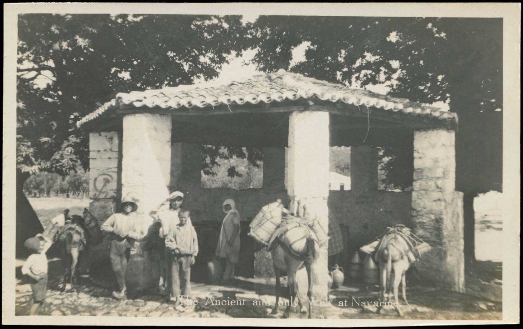 Lot 01883
