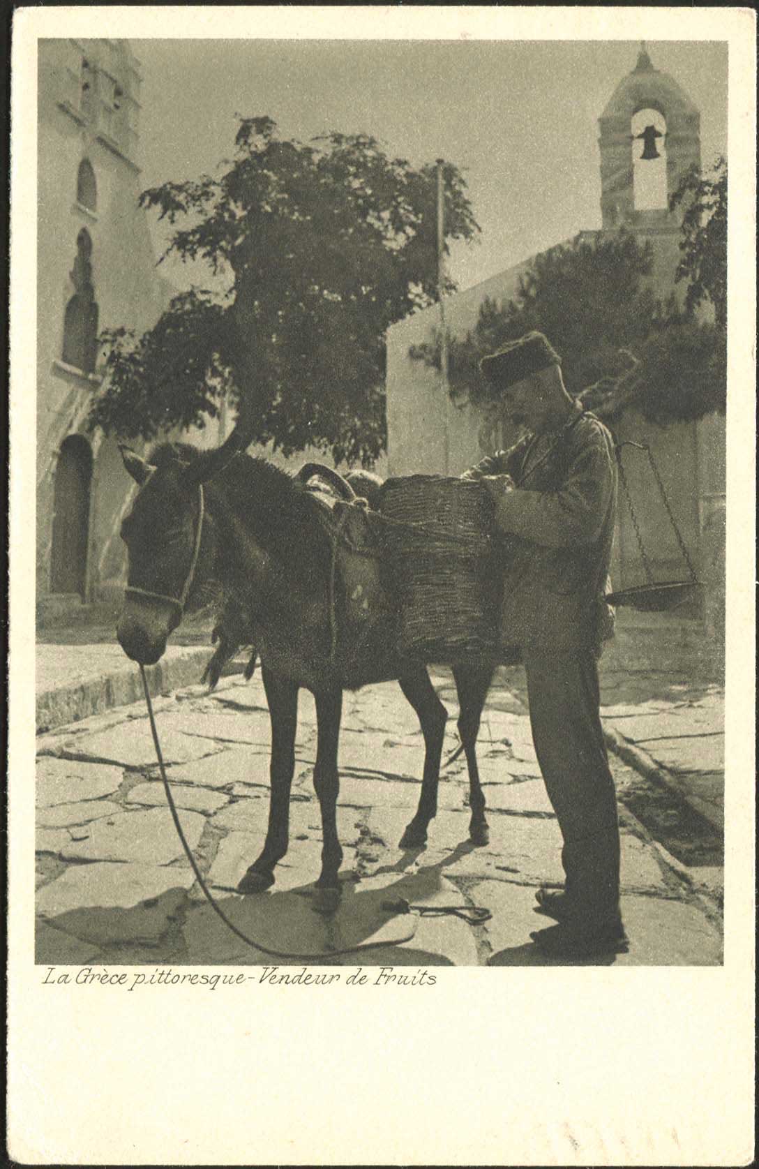 Lot 01646