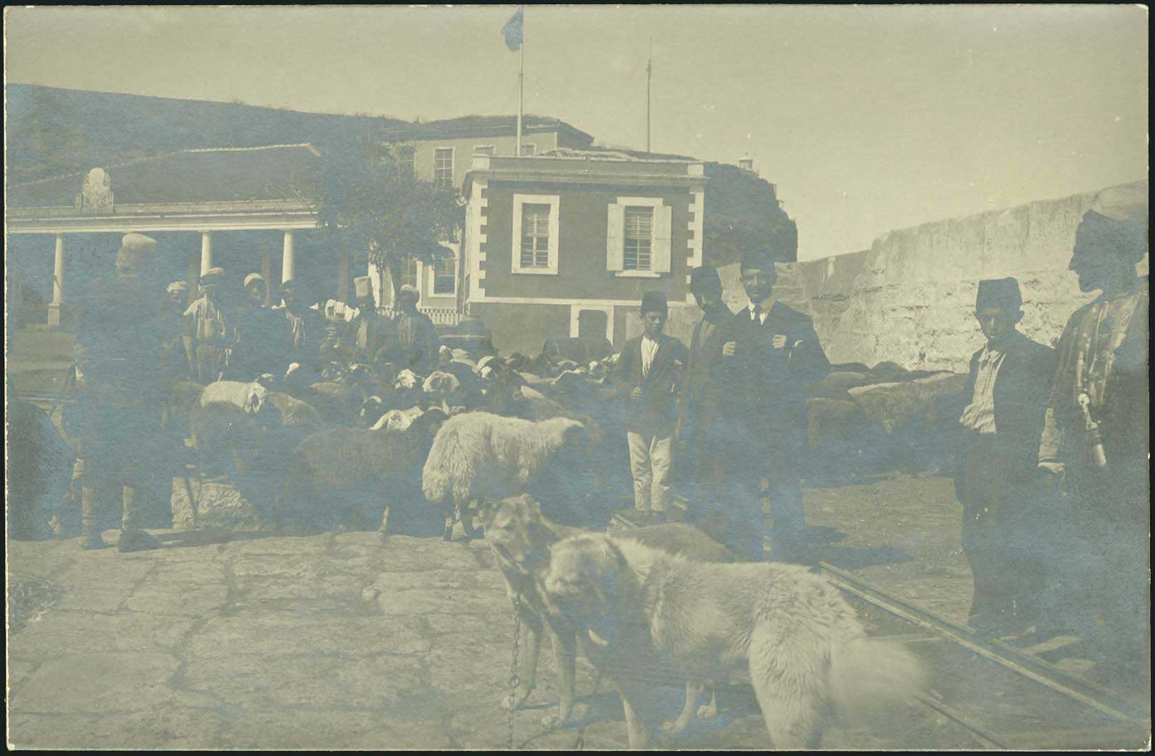 Lot 06987