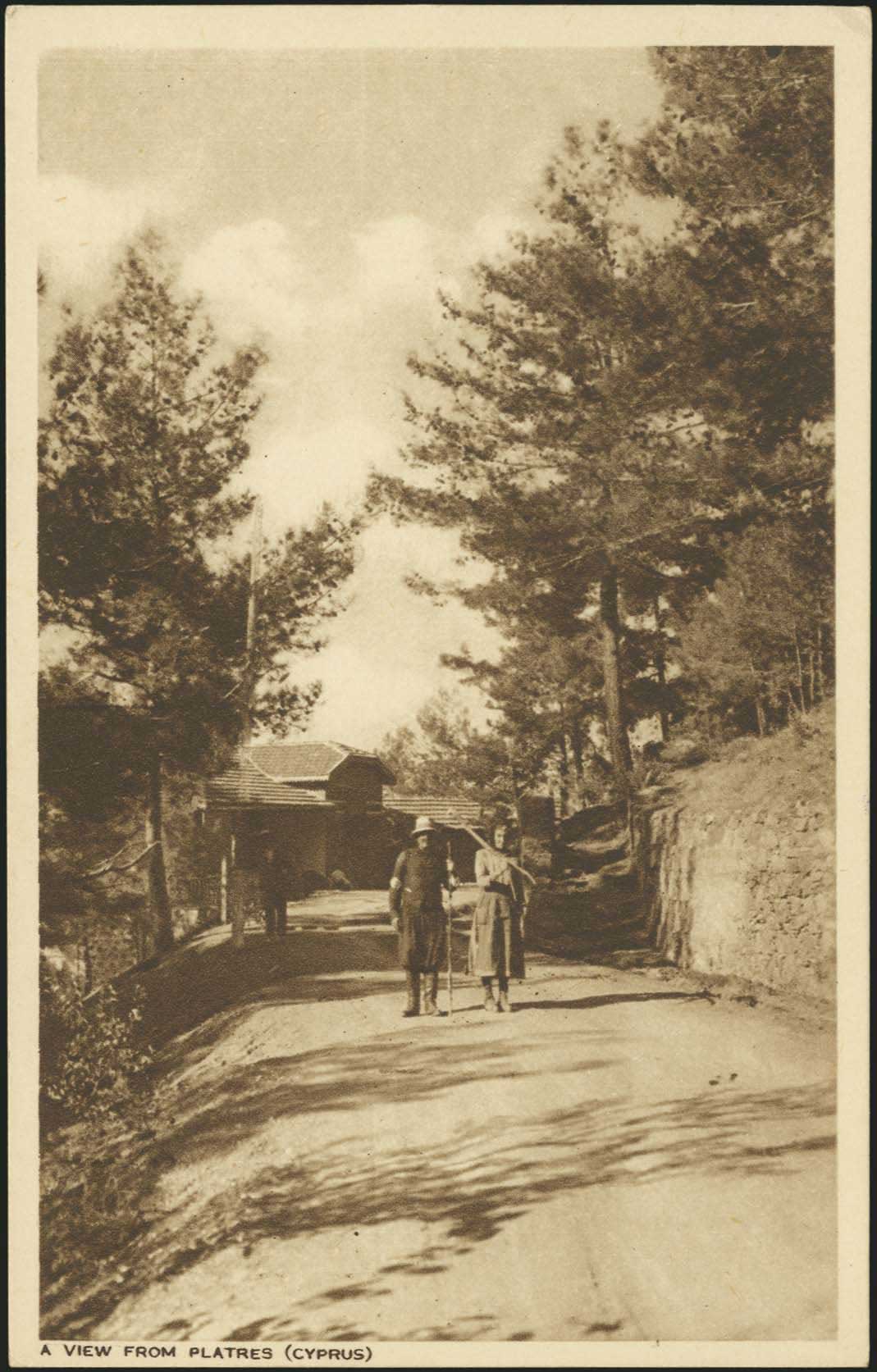 Lot 07389