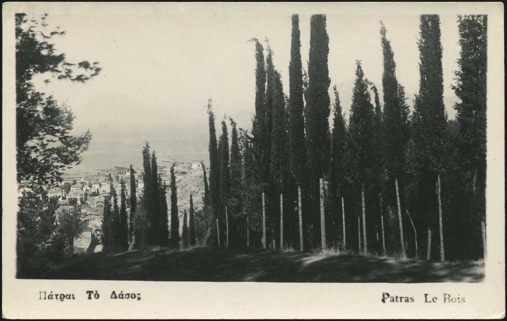 Lot 01881