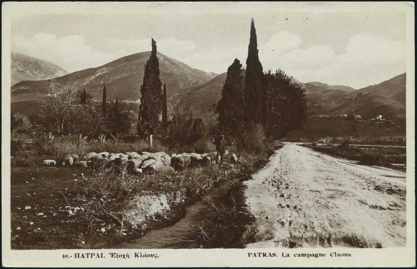Lot 01833