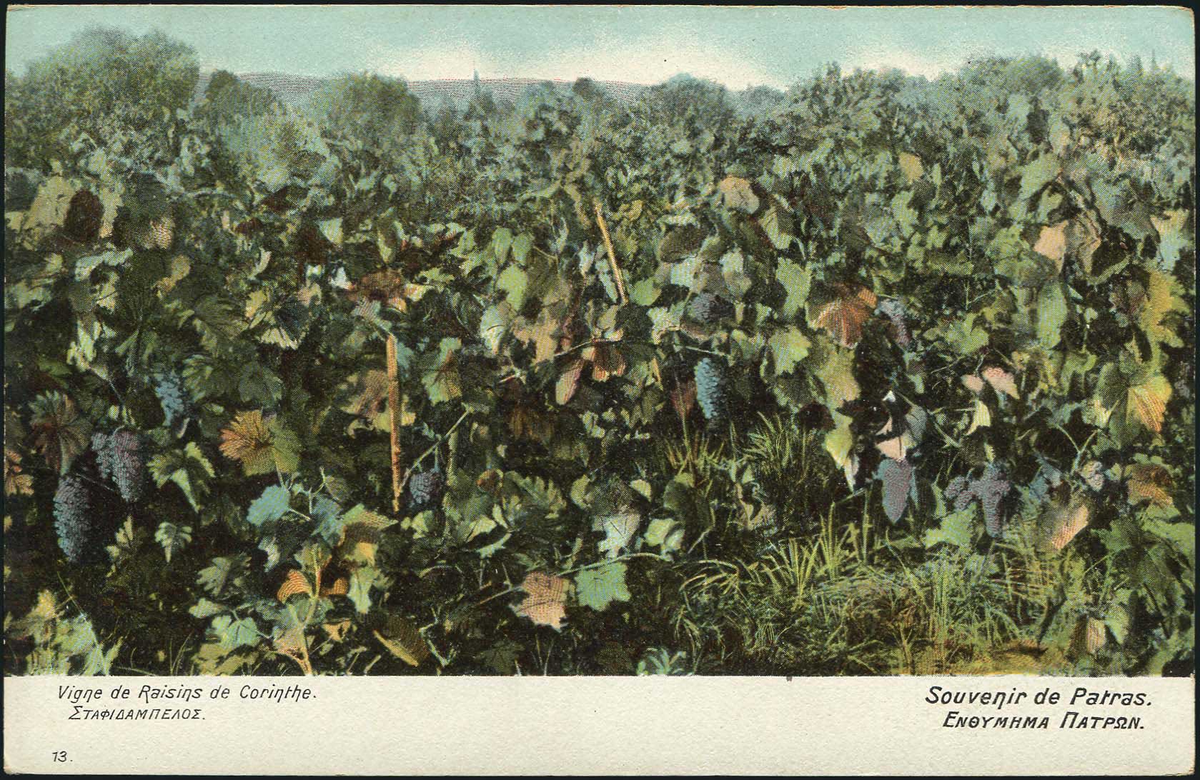 Lot 01307
