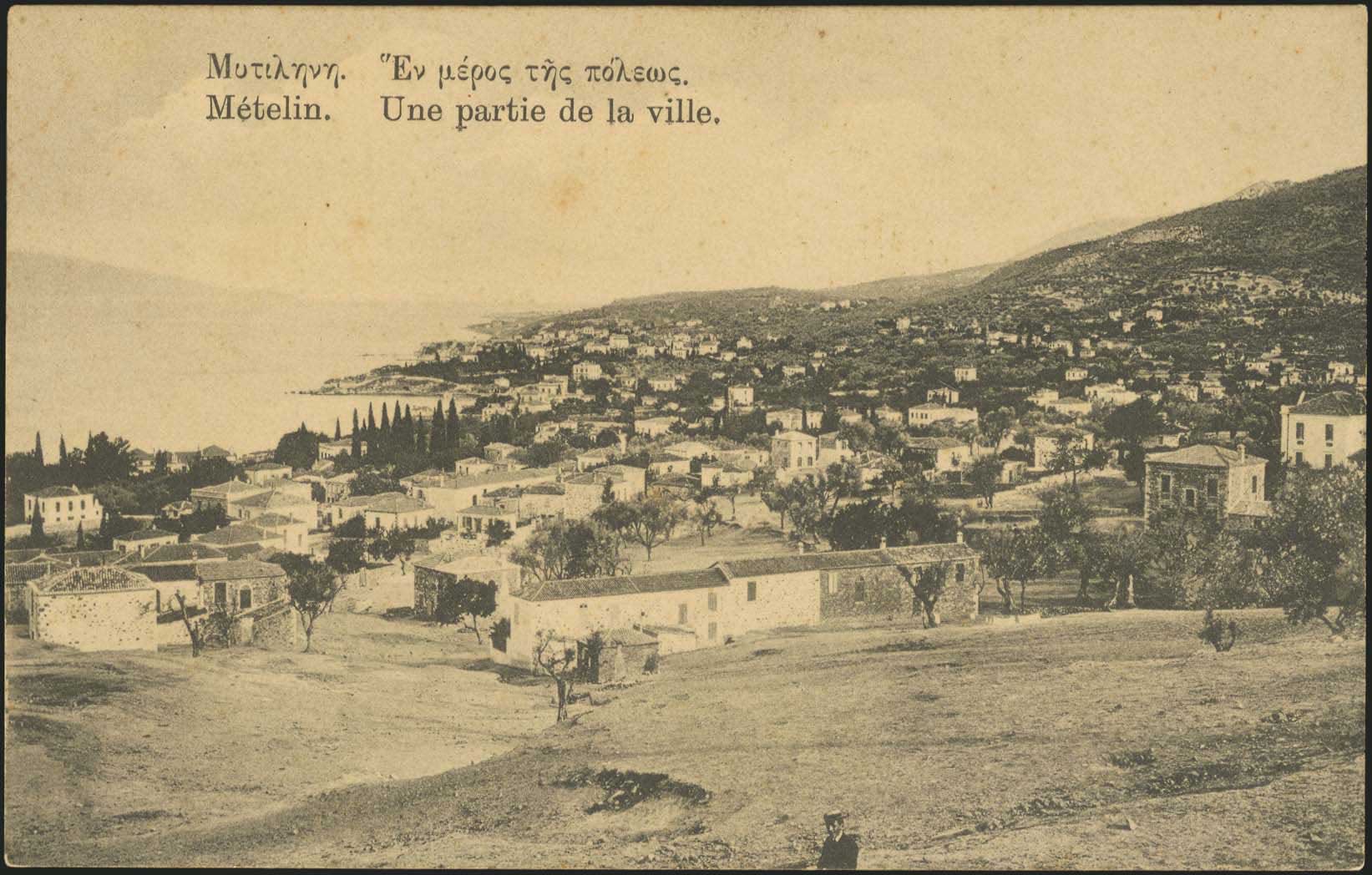 Lot 01382