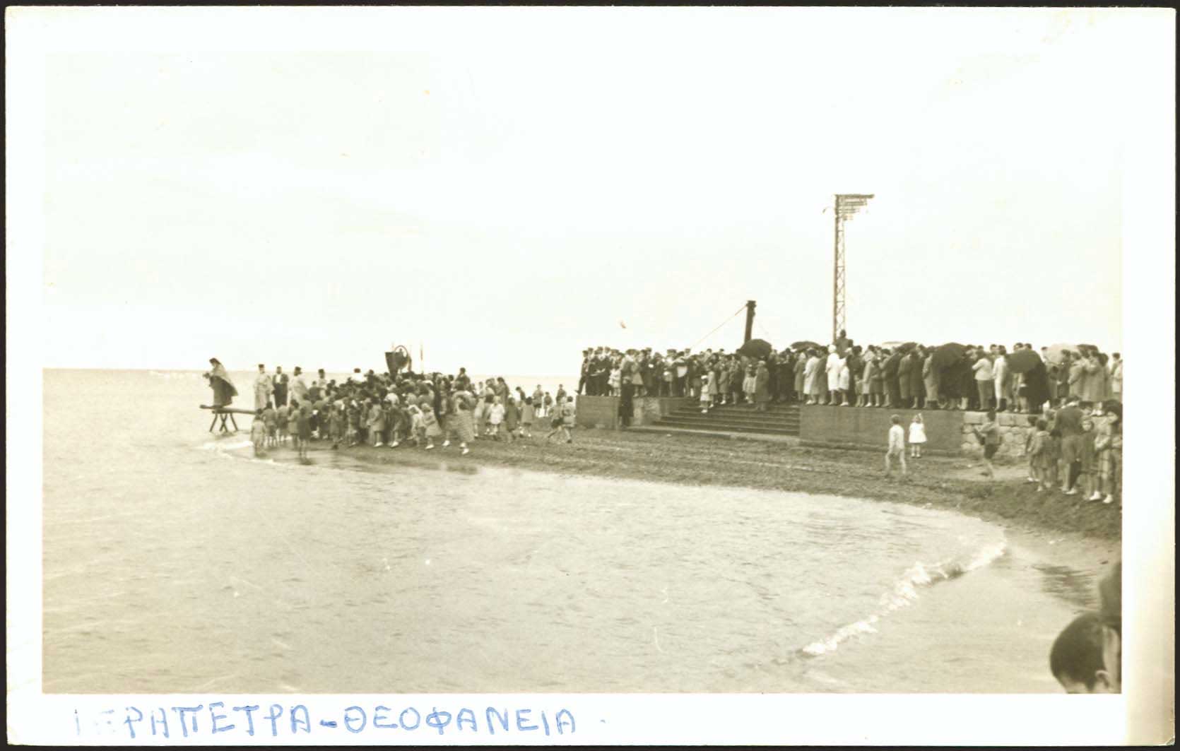 Lot 02619