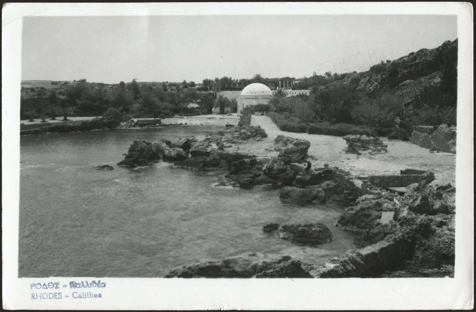 Lot 01251
