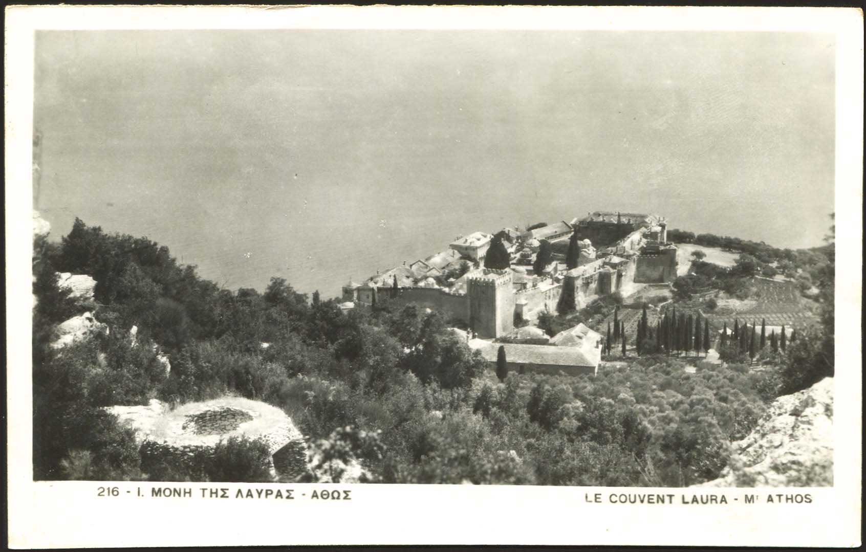 Lot 01546