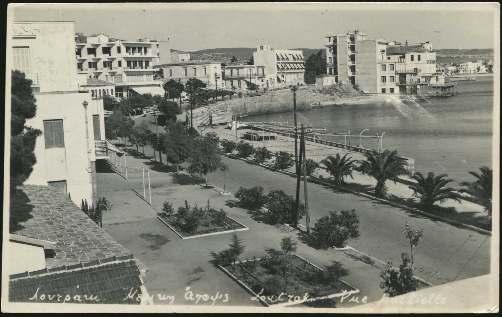 Lot 01951