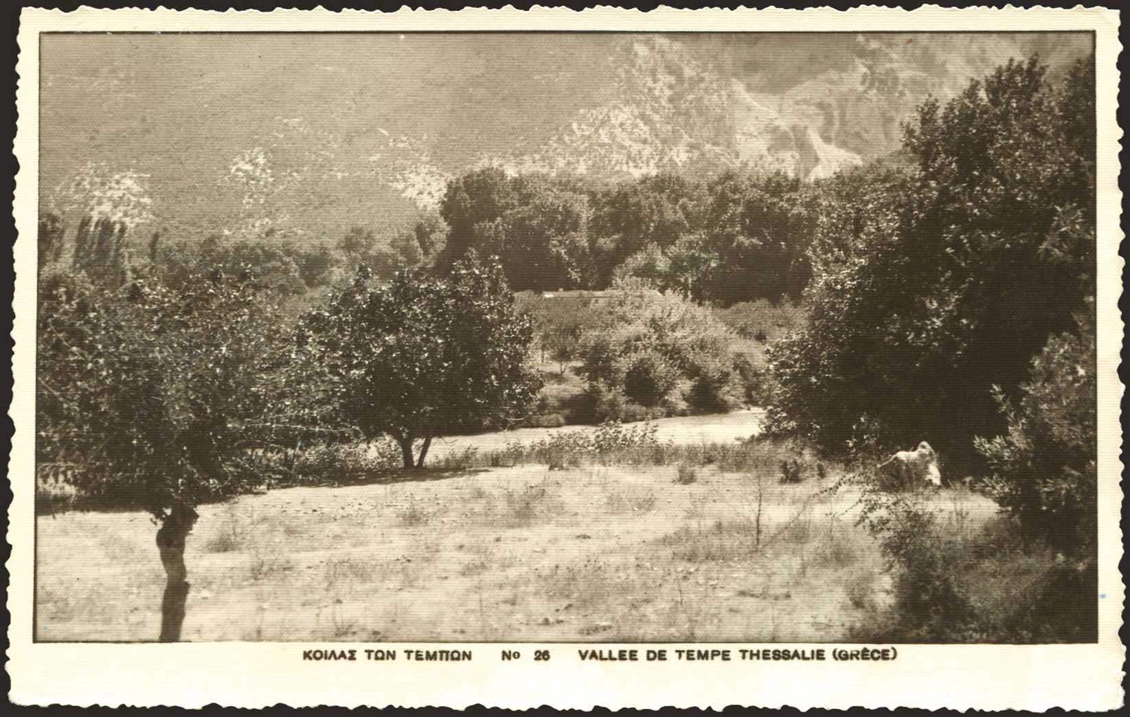 Lot 03127