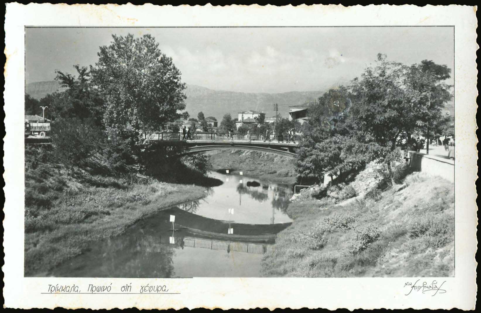 Lot 02302