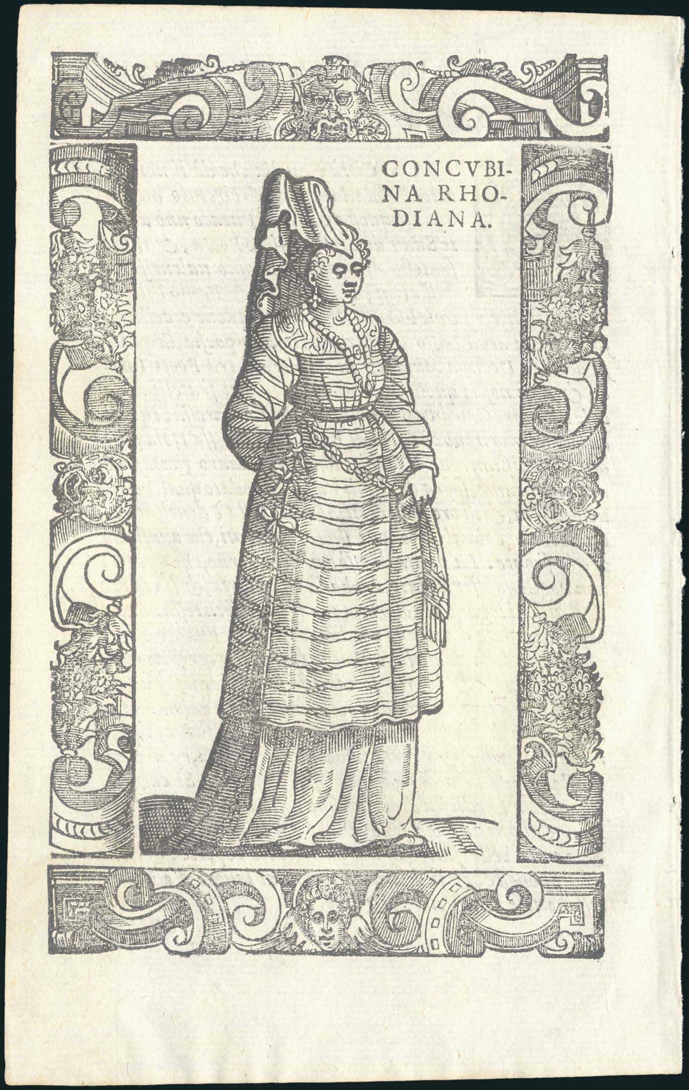 Lot 06343
