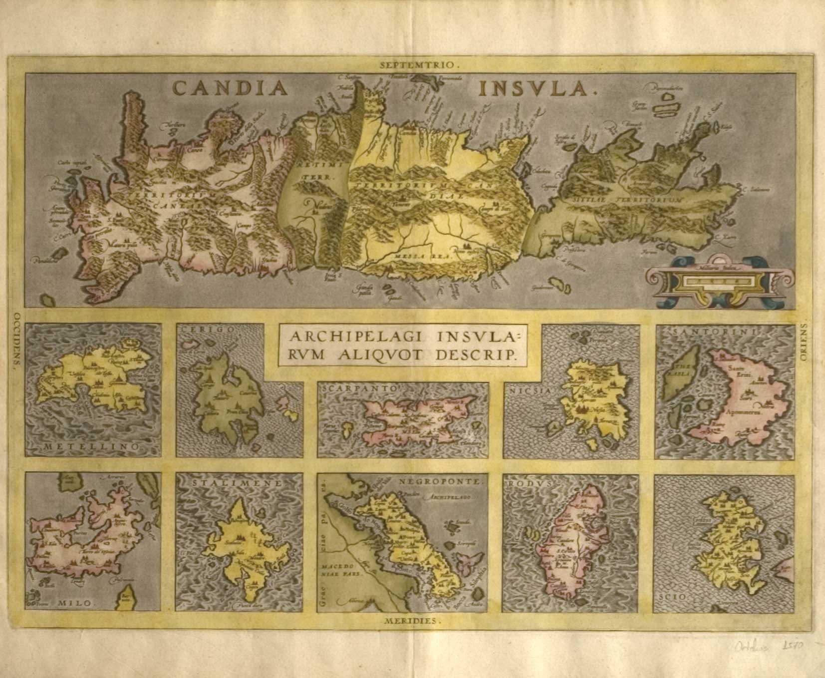 Lot 08019