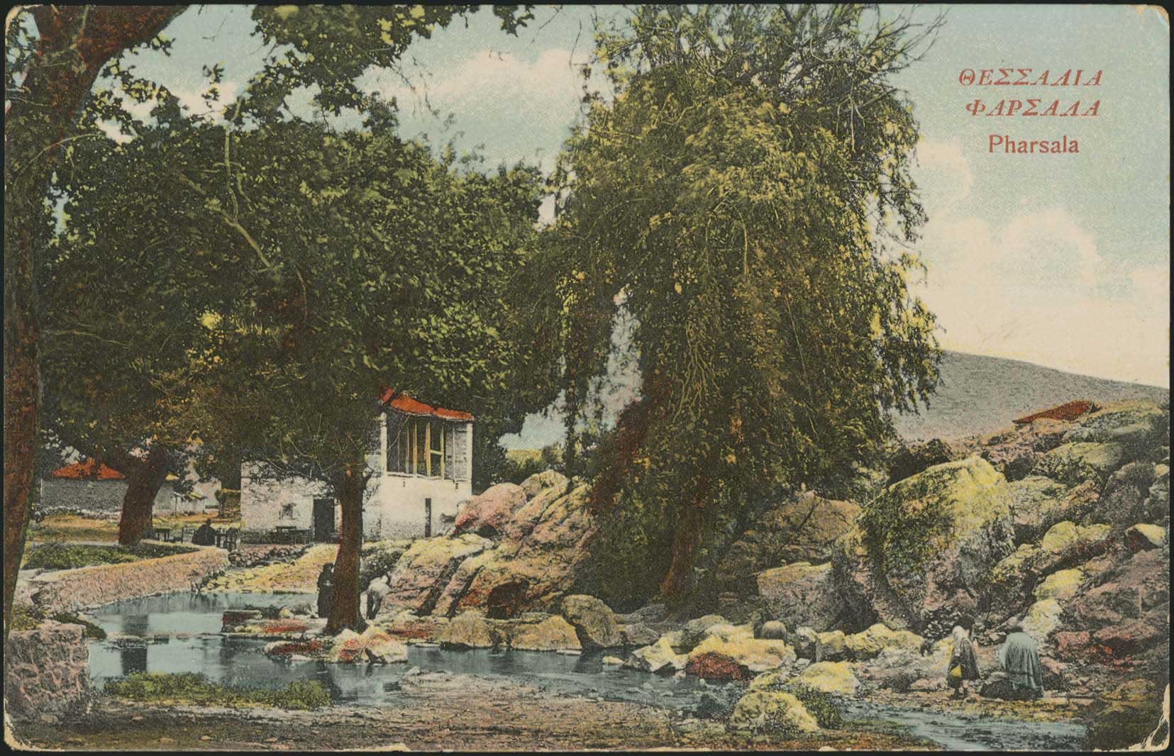 Lot 01582
