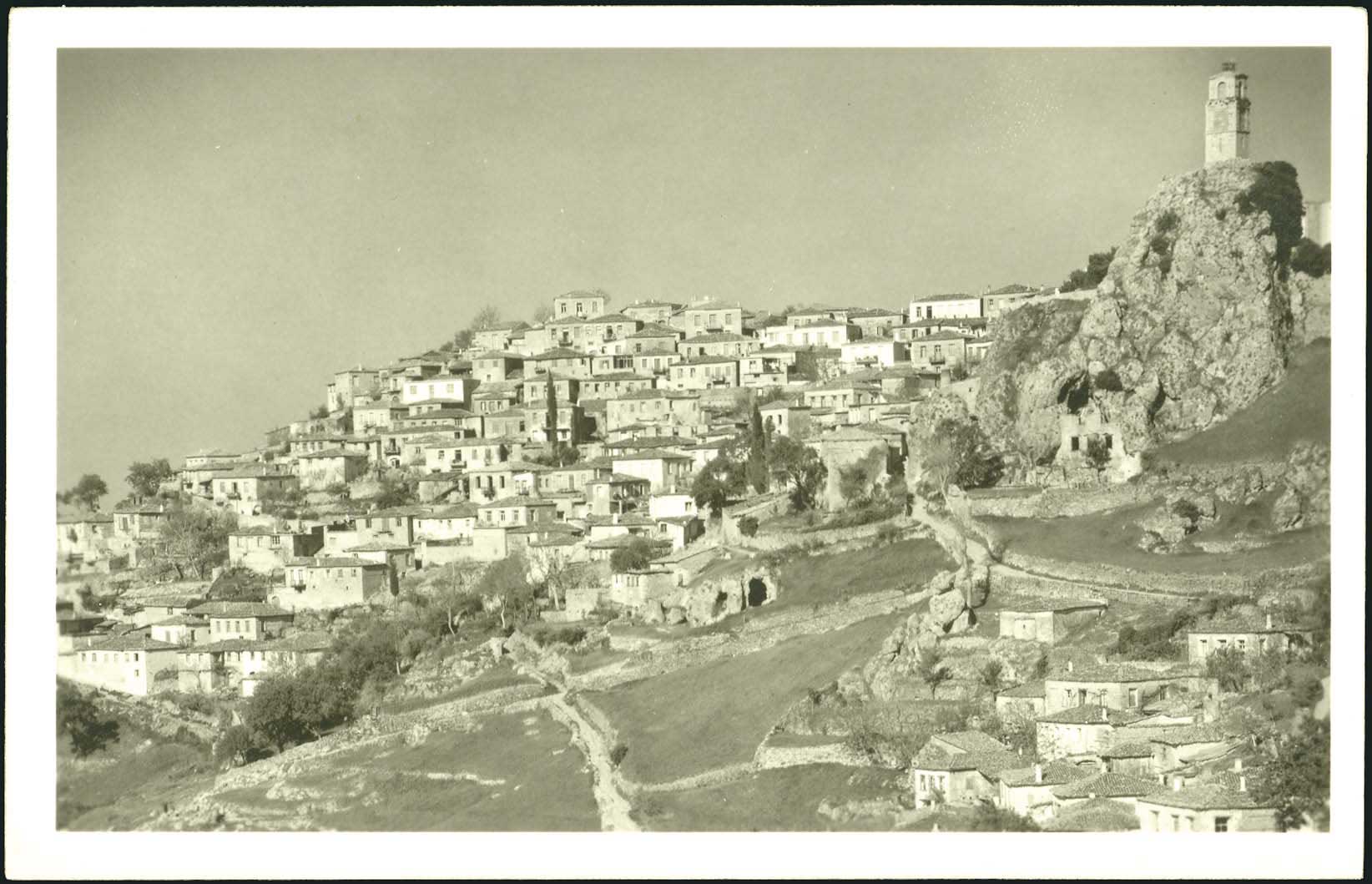 Lot 02041