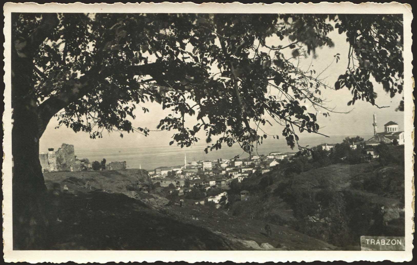 Lot 07195
