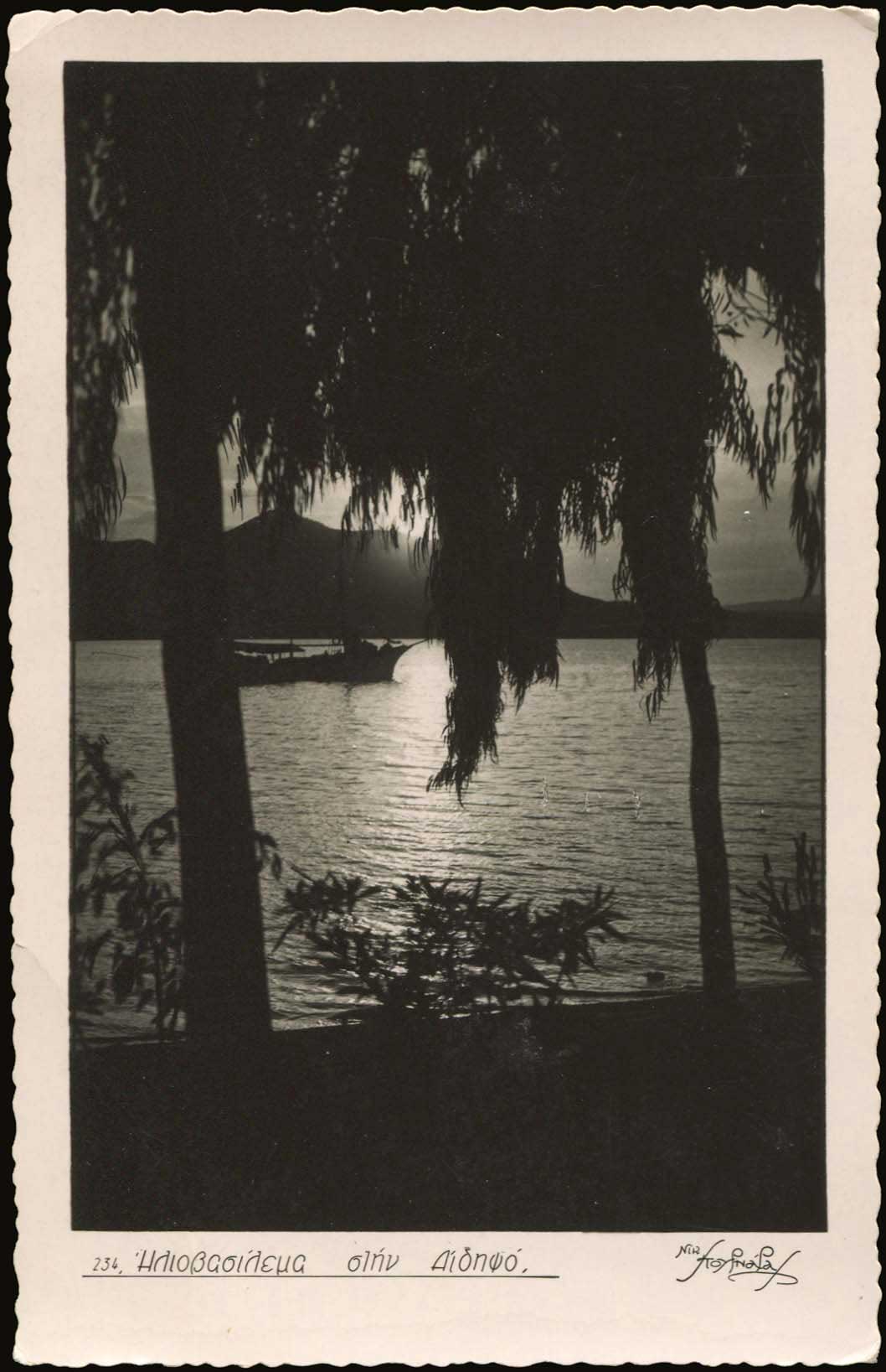 Lot 02038