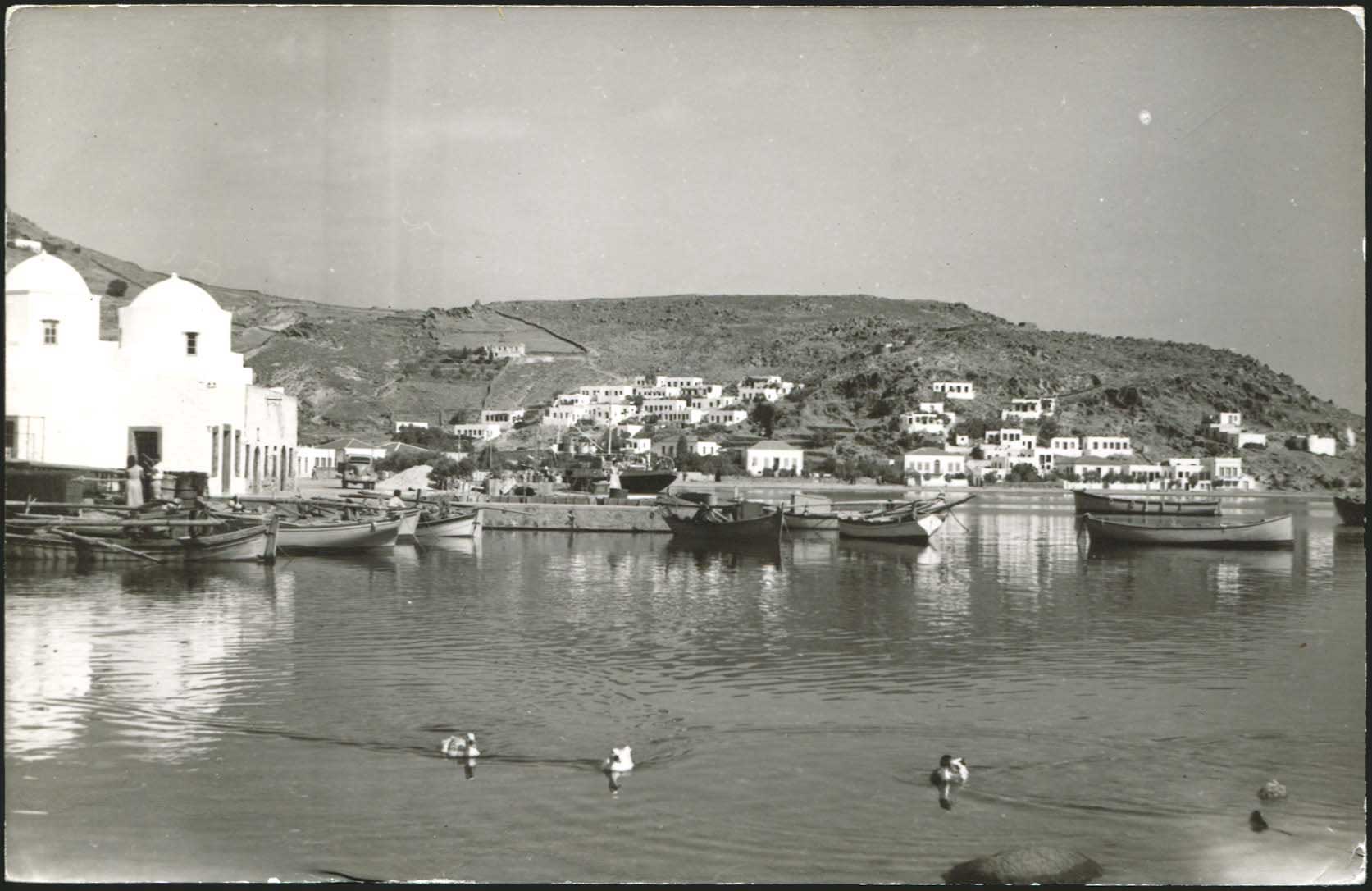 Lot 01229