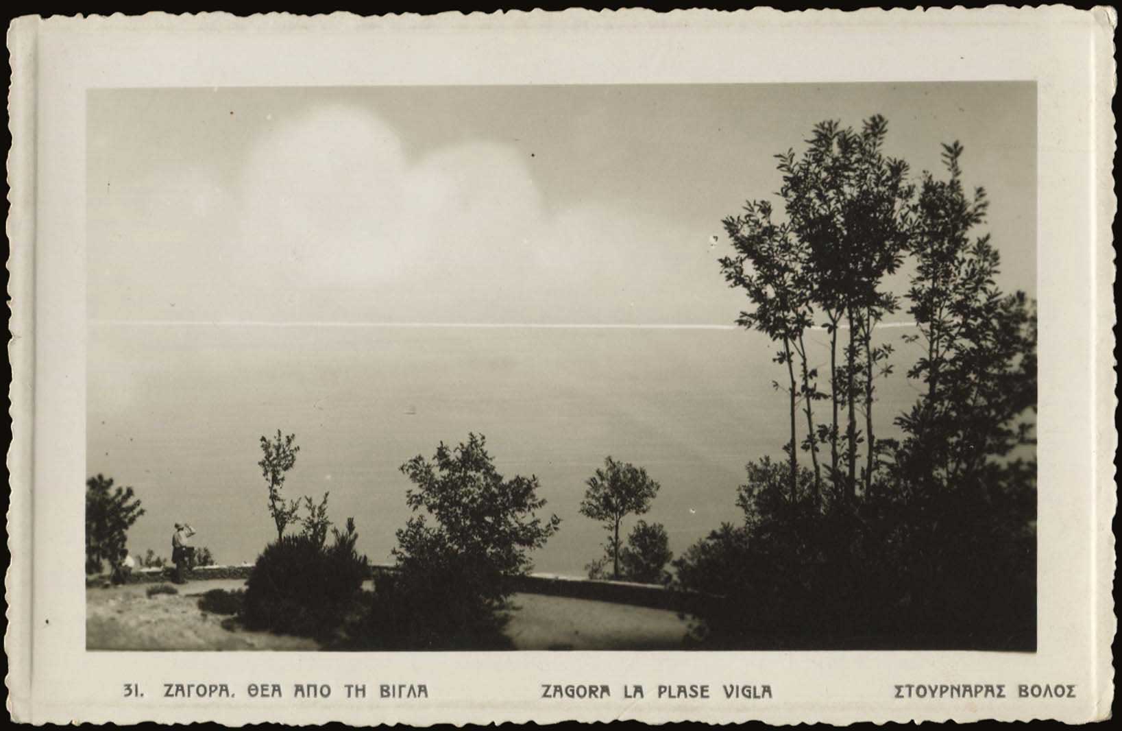 Lot 01583