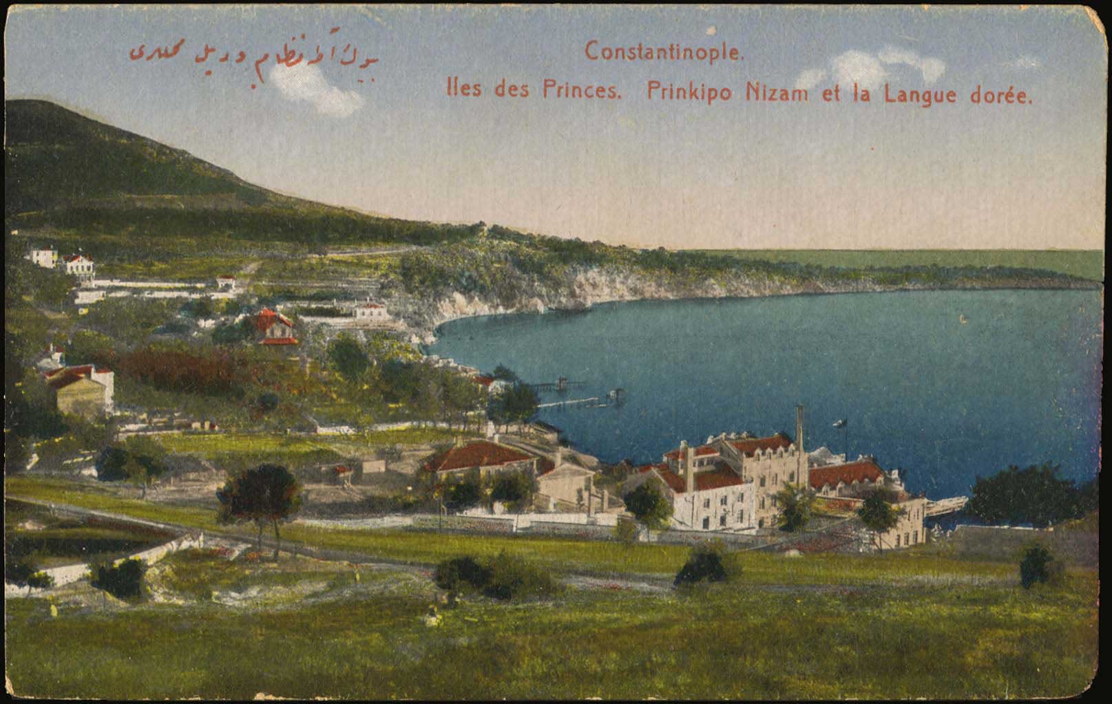 Lot 01859