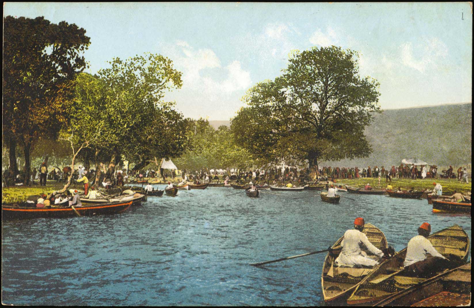 Lot 01892