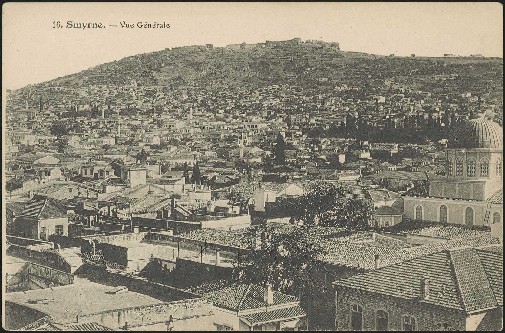 Lot 01893