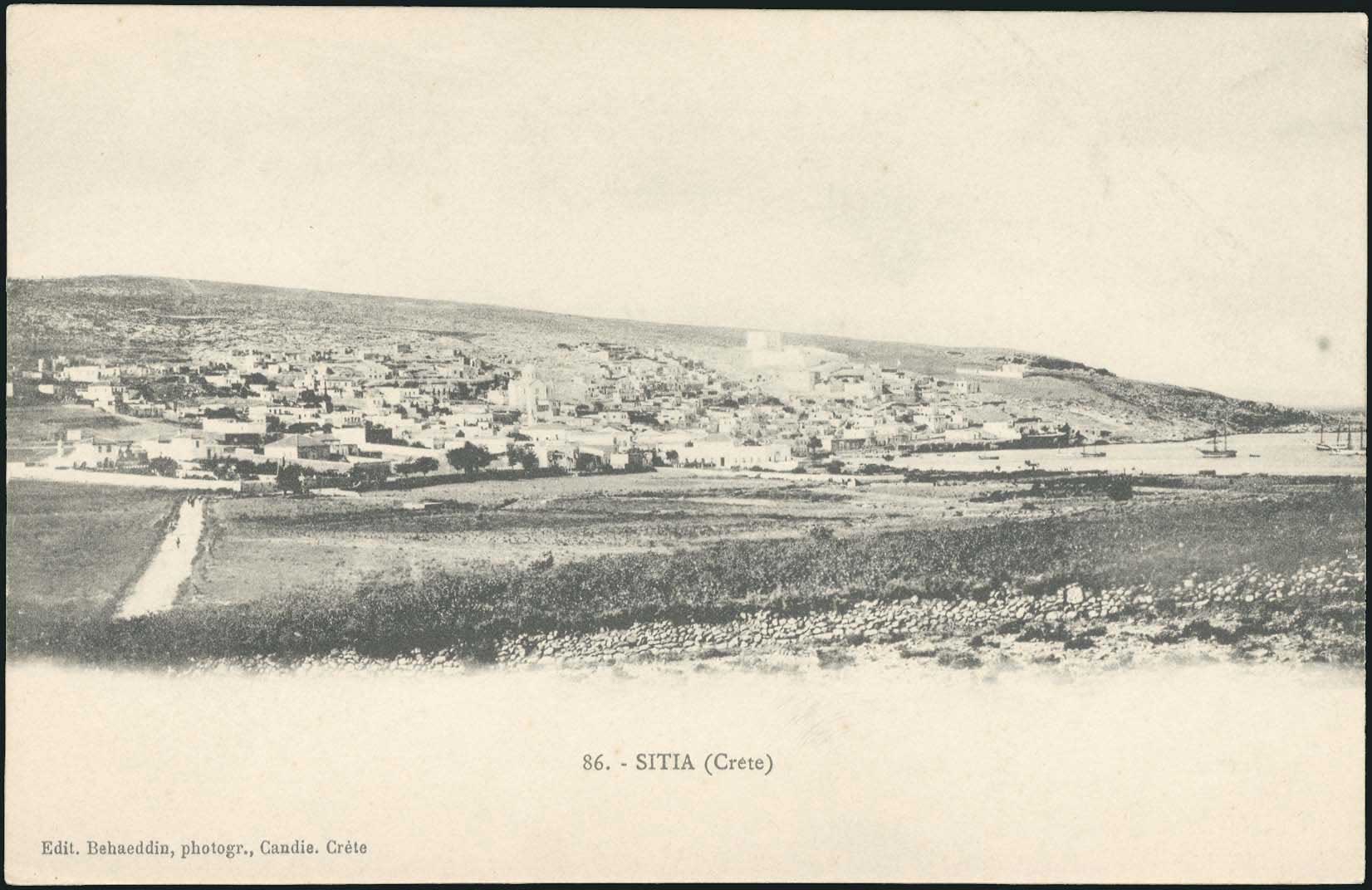 Lot 01131