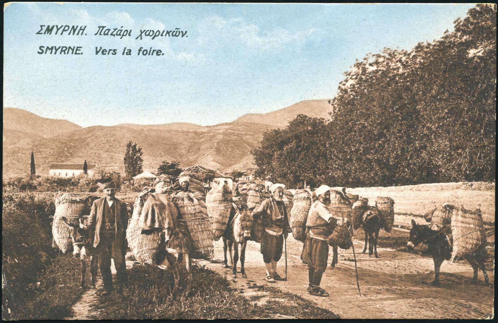 Lot 01810