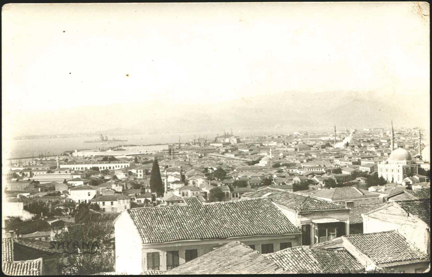 Lot 02395