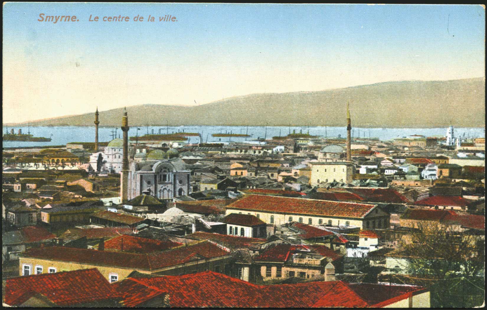 Lot 01849
