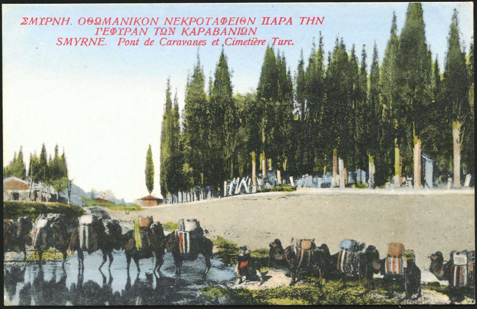 Lot 01590