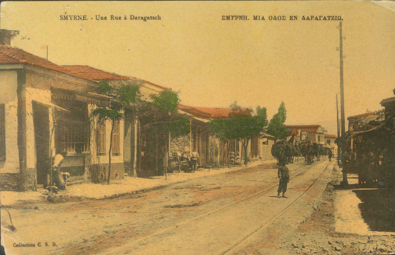 Lot 01904