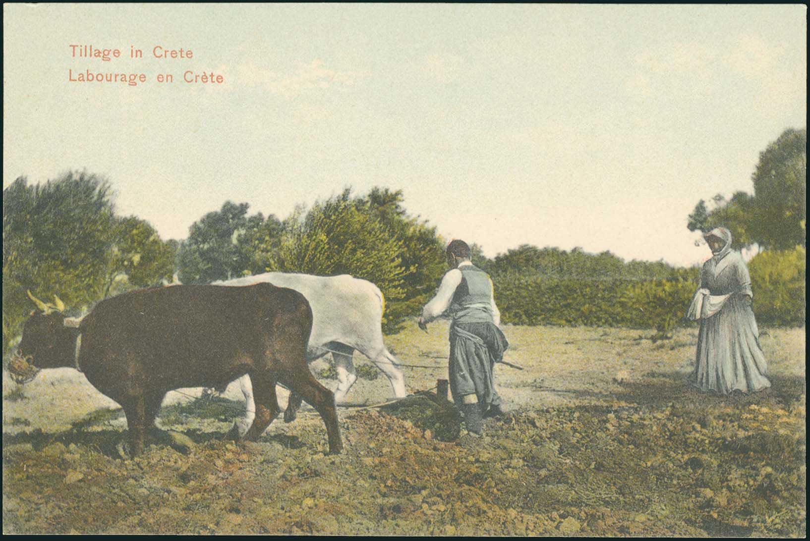 Lot 01328