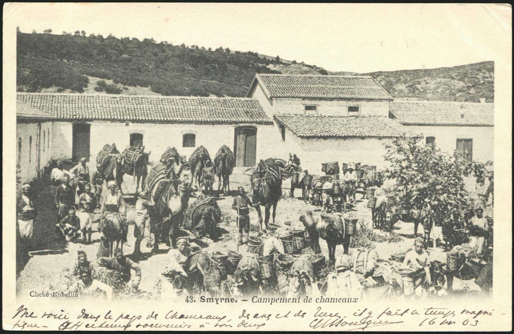 Lot 01869