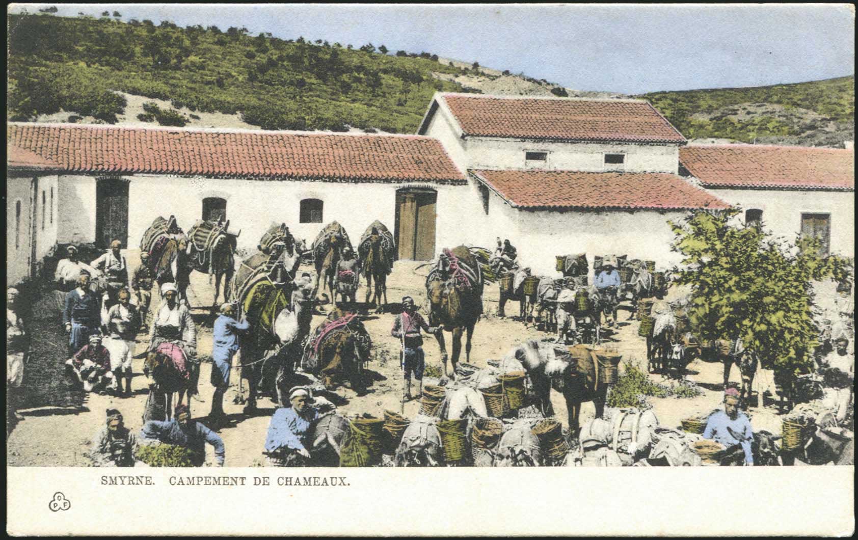 Lot 01921