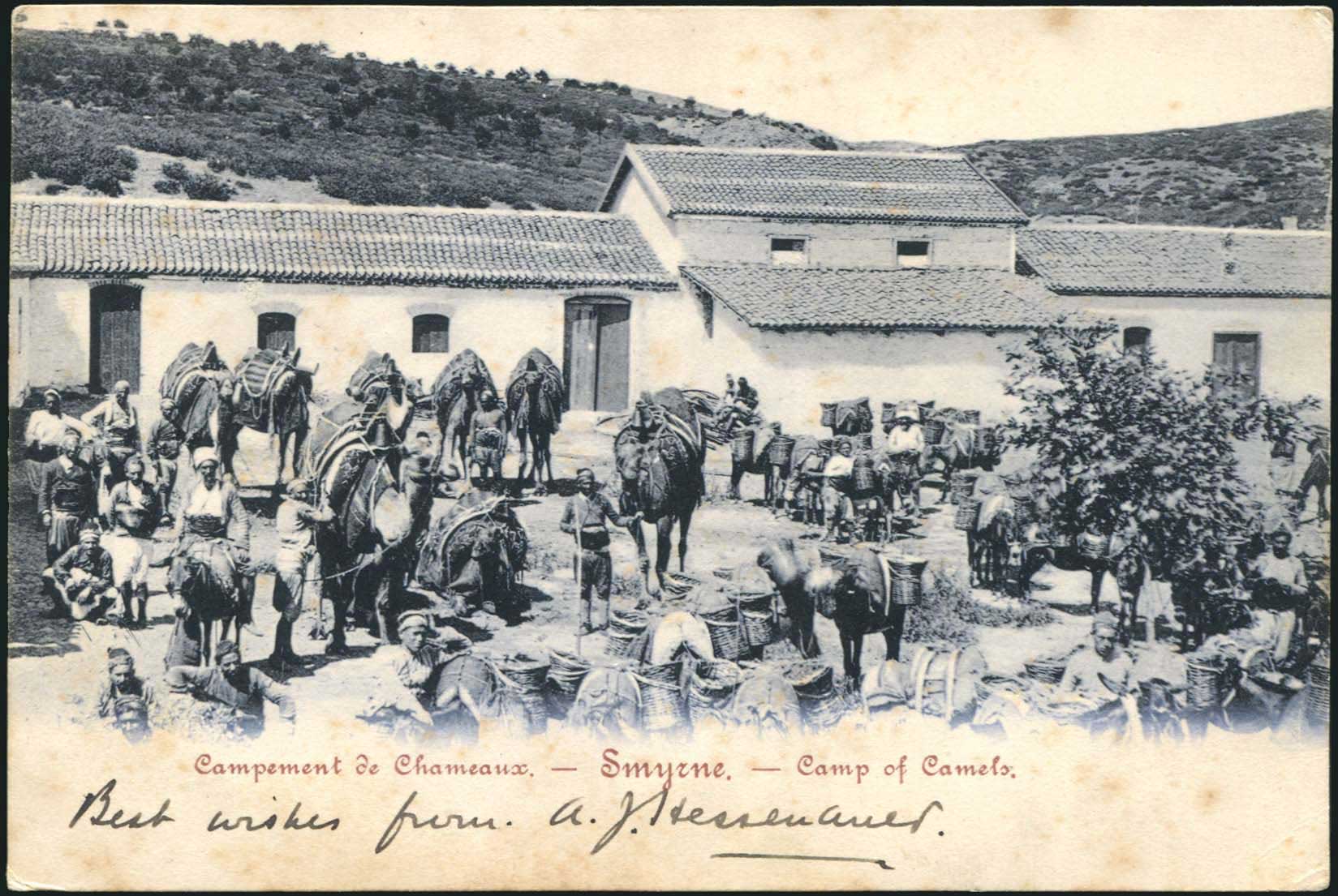 Lot 01789