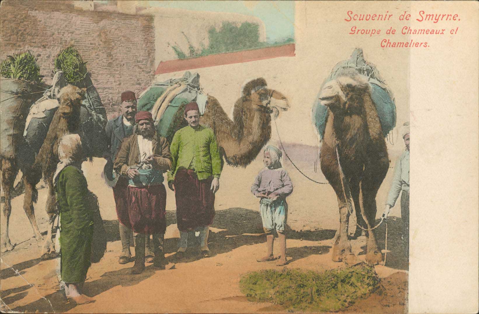 Lot 02081