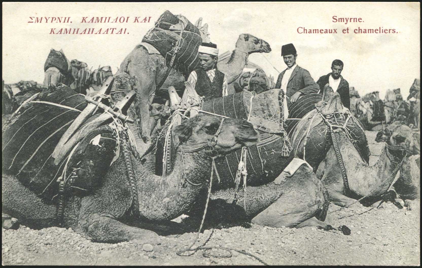 Lot 01880