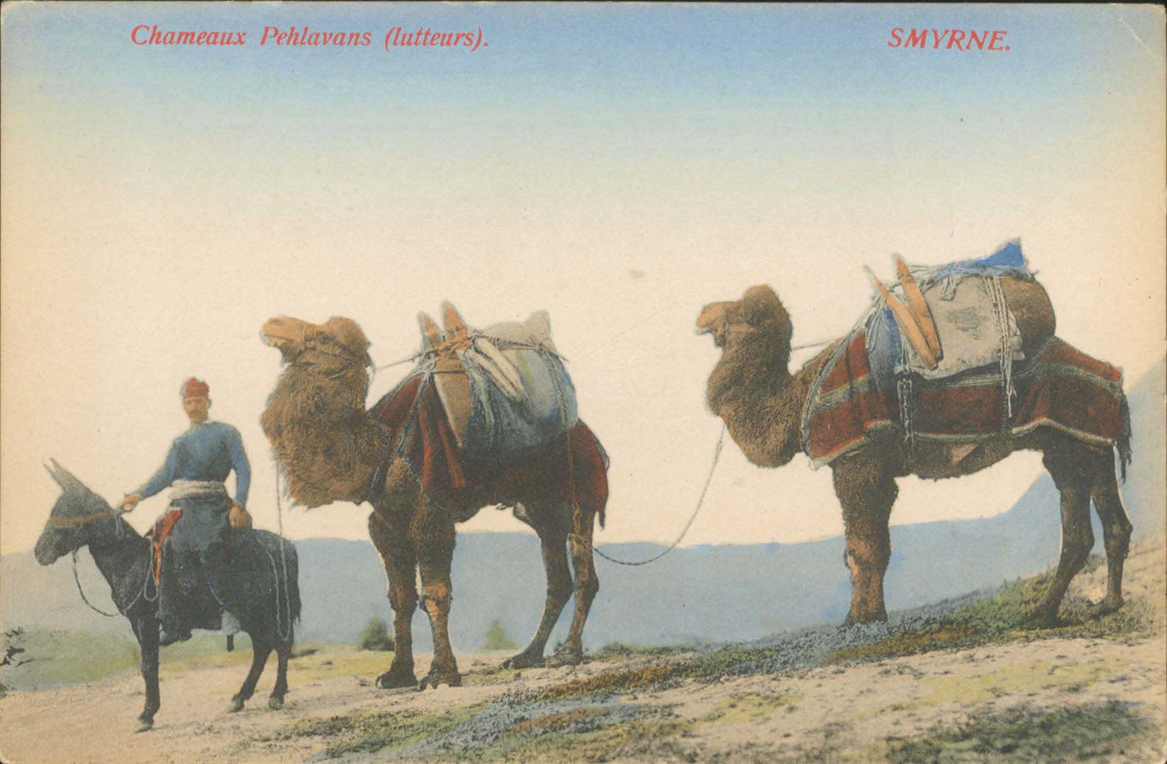 Lot 02082