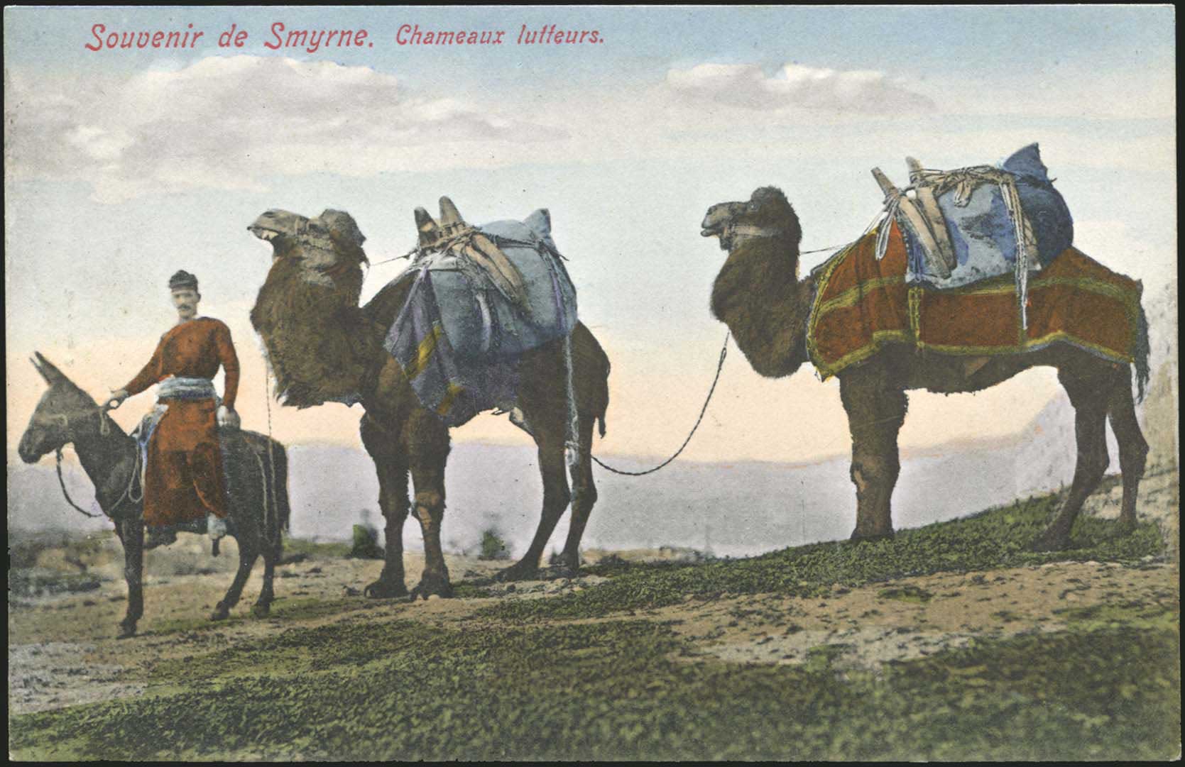 Lot 01881