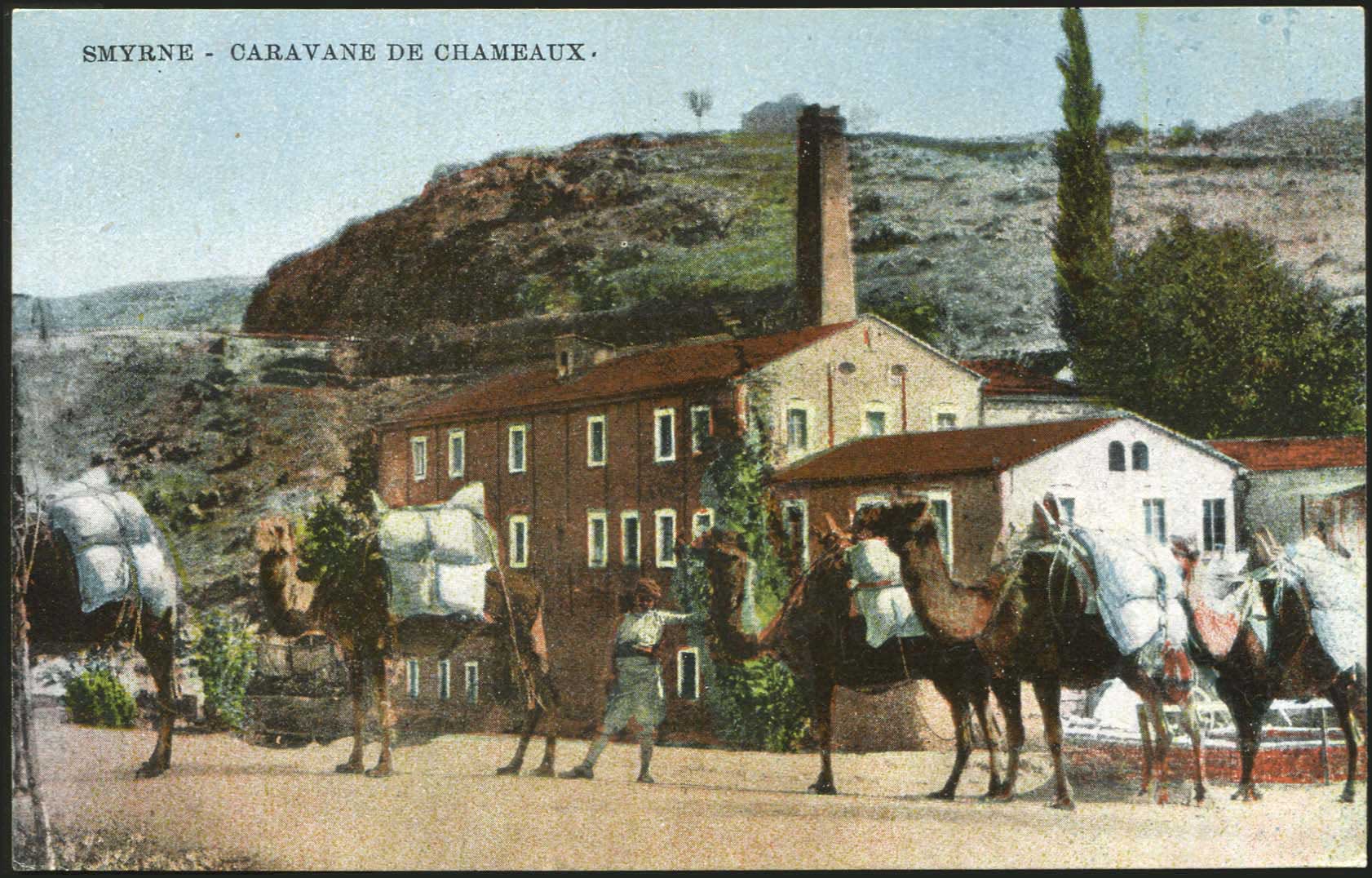 Lot 01694